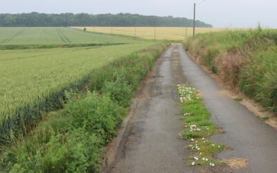 Travaux de voirie – route du Chesnay