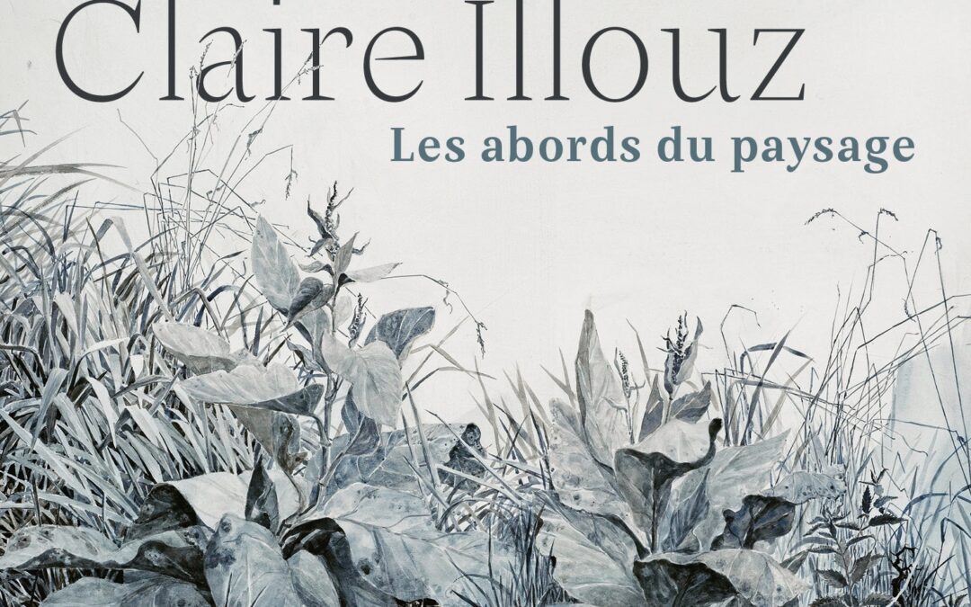 Exposition Claire Illouz