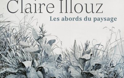 Exposition de Claire Illouz